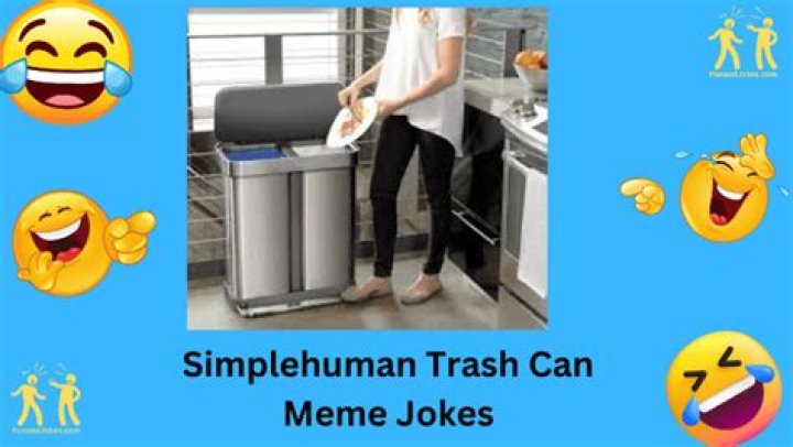 Unlocking The Secrets Behind The Simplehuman Trash Can Box Meme